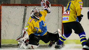 Mödlings Torhüter Dominik Gamel